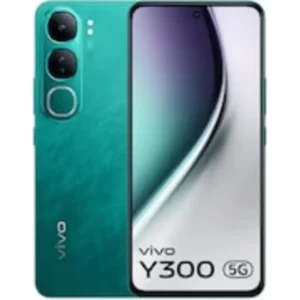 Vivo Y300